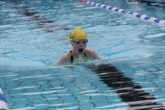 db_Haselunne_2015_IMG_1005