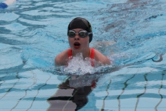 db_Haselunne_2015_IMG_1007