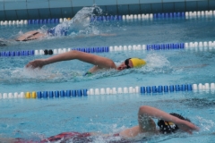 db_Haselunne_2015_IMG_1028