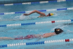 db_Haselunne_2015_IMG_1033