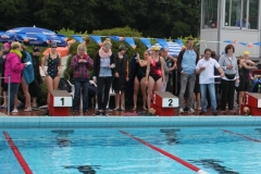 db_Haselunne_2015__IMG_1013