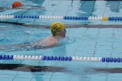 db_IHaselunne_2015_MG_0844