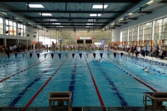 db_Schwimm_Meeting_2015_