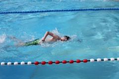 db_Bad_Essen_2016_IMG_1849