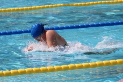 db_Bad_Essen_2016_IMG_1866