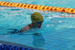 db_Bad_Rothenfelde_2016_IMG_1956