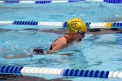 db_Haselunne_2016IMG_2026