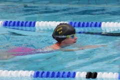 db_Haselunne_2016_IMG_2017