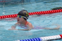 db_Haselunne_2016_IMG_2019