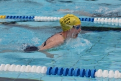 db_Haselunne_2016_IMG_2027