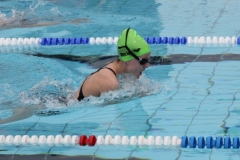 db_Haselunne_2016_IMG_2033