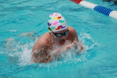 db_Haselunne_2016_IMG_2038