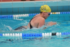 db_Haselunne_2016_IMG_2042