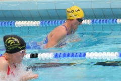 db_Haselunne_2016_IMG_2043