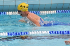 db_Haselunne_2016_IMG_2044