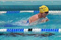 db_Haselunne_2016_IMG_2046