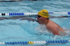 db_Haselunne_2016_IMG_2069