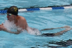 db_Haselunne_2016_IMG_2073