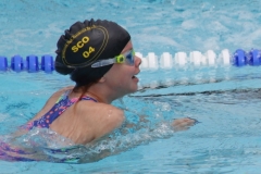 db_Haselunne_2016_IMG_2083