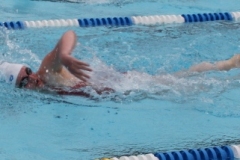 db_Haselunne_2016_IMG_2237