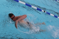 db_Haselunne_2016_IMG_2245