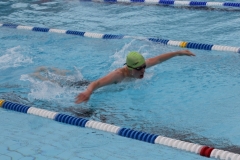 db_Haselunne_2016_IMG_2259