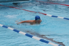 db_Haselunne_2016_IMG_2261