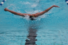 db_Haselunne_2016_IMG_2267