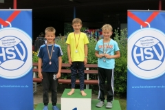 db_Haselunne_2016_IMG_3036