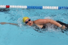 db_Haselunne_IMG_2126