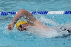 db_Haselunne_IMG_2136