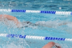 db_Haselunne_IMG_2137