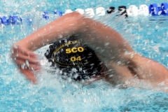 db_Haselunne_IMG_2138