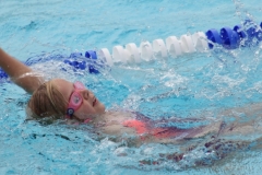 db_Haselunne_IMG_2147