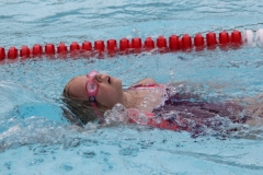 db_Haselunne_IMG_2150