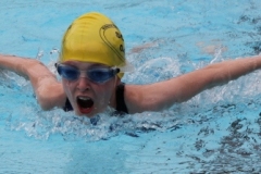 db_Haselunne_IMG_2165