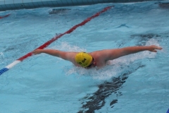 db_Haselunne_IMG_2169