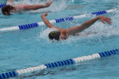 db_Haselunne_IMG_2171