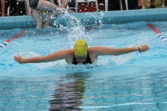 db_Haselunne_IMG_2178