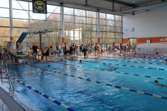 db_Nikolaus_Schwimmfest_2016_IMG_2345