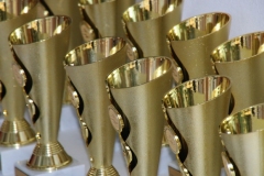 db_Nikolaus_Schwimmfest_2016_IMG_7828