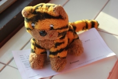 db_Douwels-Cup-2017-IMG_2396