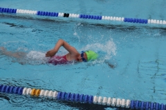 db_Haselunne-2017-IMG_2629