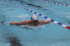 db_Haselunne-2017-IMG_2657