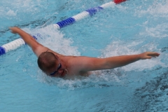 db_Haselunne-2017-IMG_2662