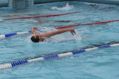 db_Haselunne-2017-IMG_2664