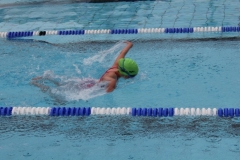 db_Haselunne-2017-IMG_2668