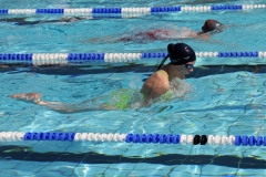 db_Haselunne_2017_IMG_2732