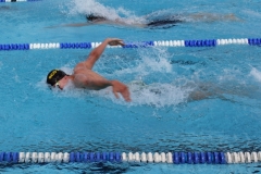 db_Haselunne_2017_IMG_2739