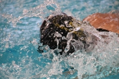 db_2018-12-01-0415-002-